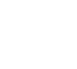 crow icon