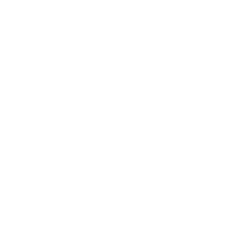 skull image